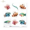 Błazenek, skrzydlica, iglicznia, wargacz, mandaryn, papugoryba, ryby, akwarela*clownfish, lionfish, pipefish, wrasse, mandarinfish, parrotfish, fish, watercolor